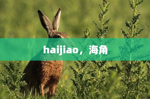 haijiao，海角