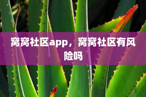 窝窝社区app，窝窝社区有风险吗