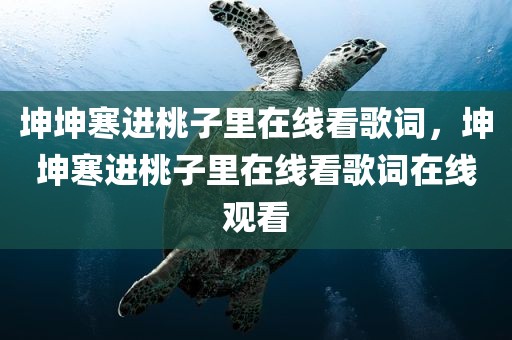 坤坤寒进桃子里在线看歌词，坤坤寒进桃子里在线看歌词在线观看