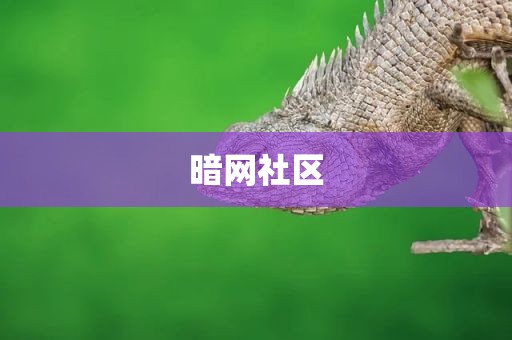 暗网社区