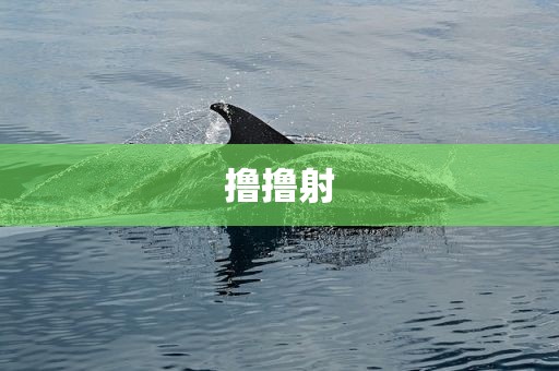 撸撸射