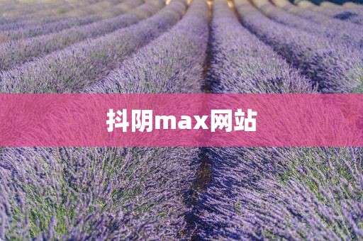抖阴max网站