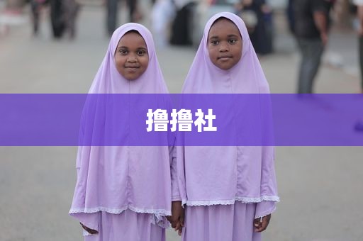 撸撸社