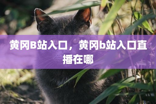 黄冈B站入口，黄冈b站入口直播在哪