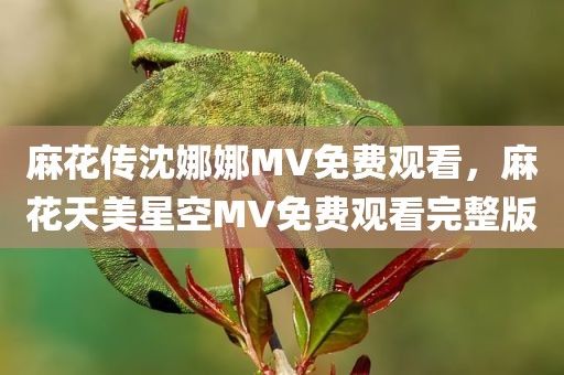 麻花传沈娜娜MV免费观看，麻花天美星空MV免费观看完整版