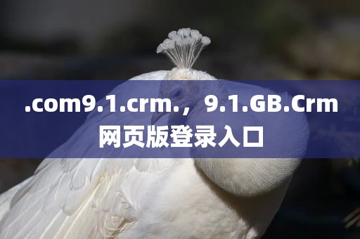 .com9.1.crm.，9.1.GB.Crm网页版登录入口