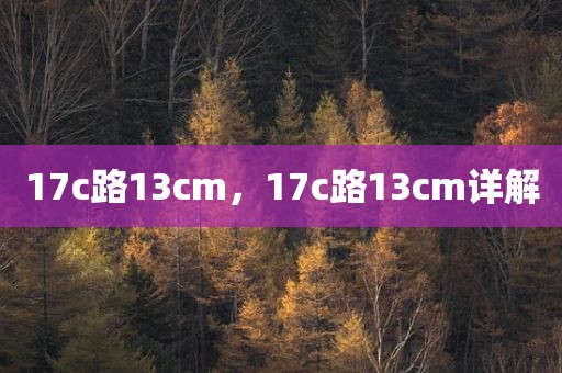 17c路13cm，17c路13cm详解
