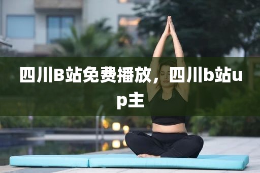 四川B站免费播放，四川b站up主