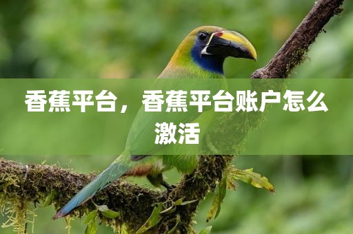 香蕉平台，香蕉平台账户怎么激活