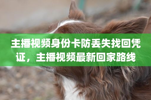 主播视频身份卡防丢失找回凭证，主播视频最新回家路线
