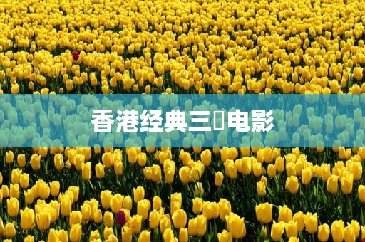 香港经典三㚫电影