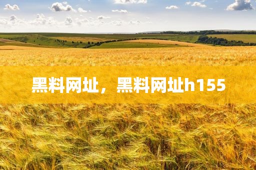 黑料网址，黑料网址h155