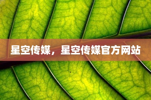 星空传媒，星空传媒官方网站