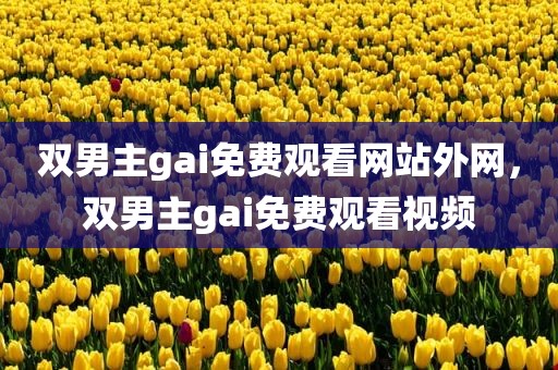 双男主gai免费观看网站外网，双男主gai免费观看视频