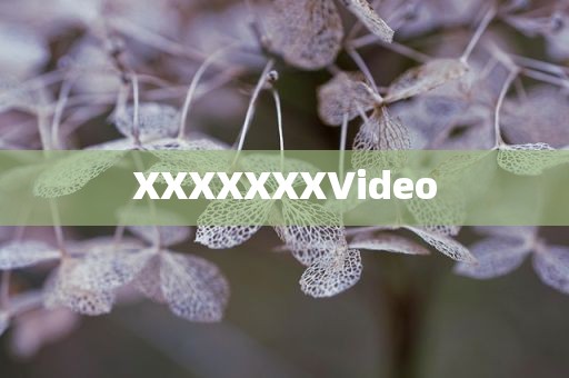 XXXXXXX∨ideo