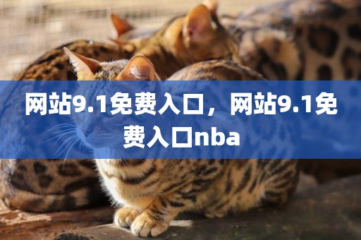 网站9.1免费入口，网站9.1免费入口nba