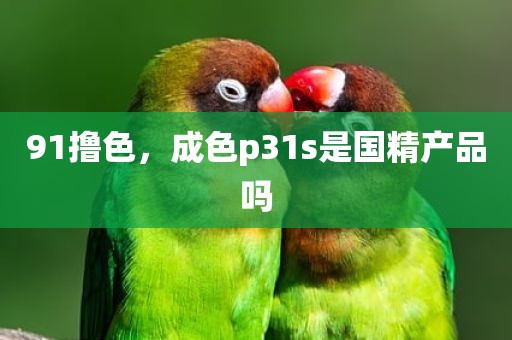 91撸色，成色p31s是国精产品吗