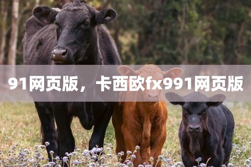91网页版，卡西欧fx991网页版