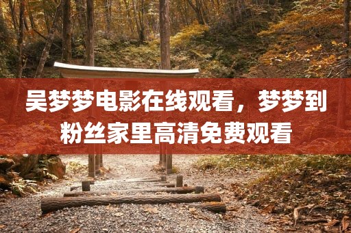 吴梦梦电影在线观看，梦梦到粉丝家里高清免费观看
