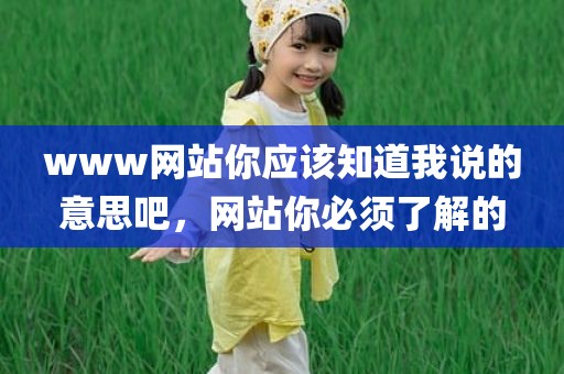 www网站你应该知道我说的意思吧，网站你必须了解的