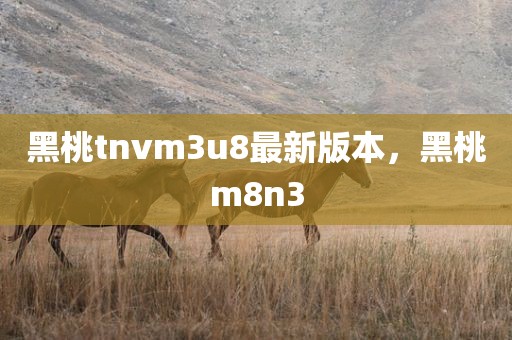 黑桃tnvm3u8最新版本，黑桃m8n3