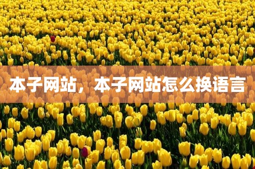 本子网站，本子网站怎么换语言
