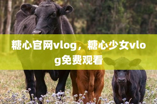 糖心官网vlog，糖心少女vlog免费观看