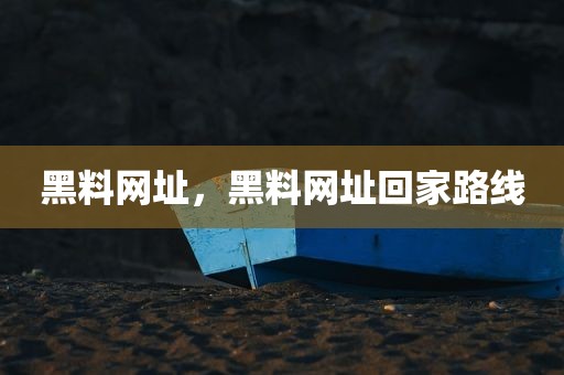 黑料网址，黑料网址回家路线