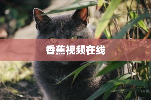 香蕉视频在线