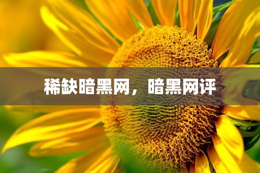 稀缺暗黑网，暗黑网评
