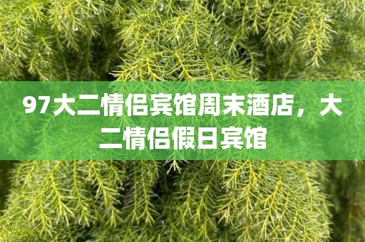 97大二情侣宾馆周末酒店，大二情侣假日宾馆