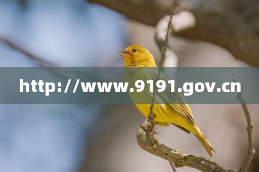 http://www.9191.gov.cn