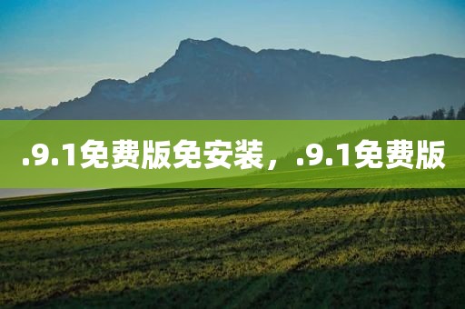 .9.1免费版免安装，.9.1免费版