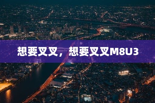 想要叉叉，想要叉叉M8U3