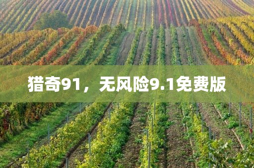 猎奇91，无风险9.1免费版