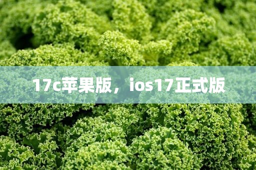 17c苹果版，ios17正式版