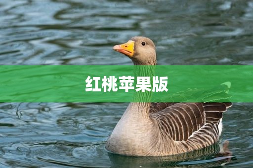 红桃苹果版