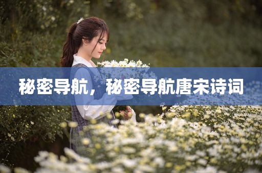 秘密导航，秘密导航唐宋诗词