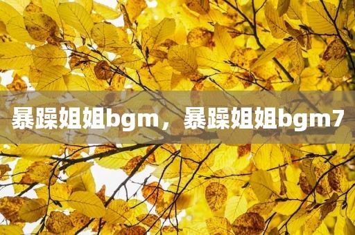暴躁姐姐bgm，暴躁姐姐bgm7