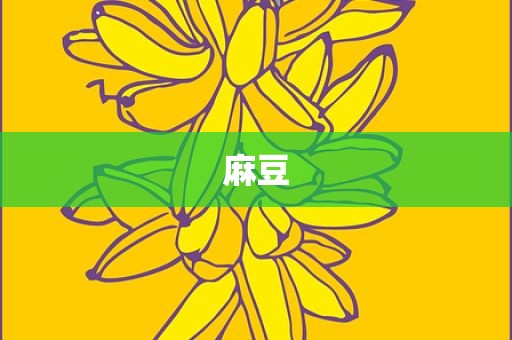 麻豆
