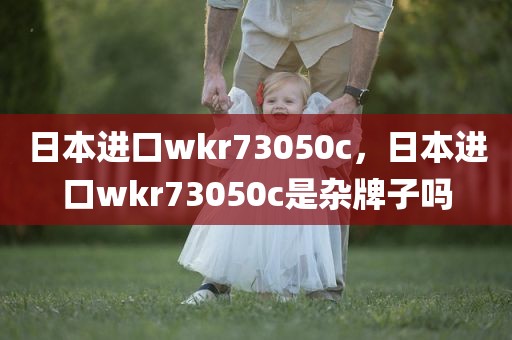 日本进口wkr73050c，日本进口wkr73050c是杂牌子吗