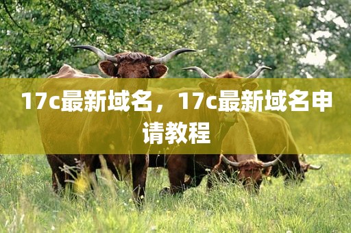 17c最新域名，17c最新域名申请教程