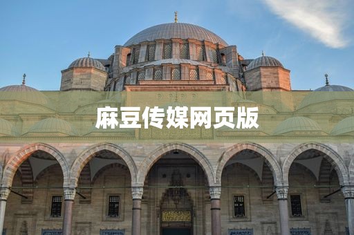 麻豆传媒网页版