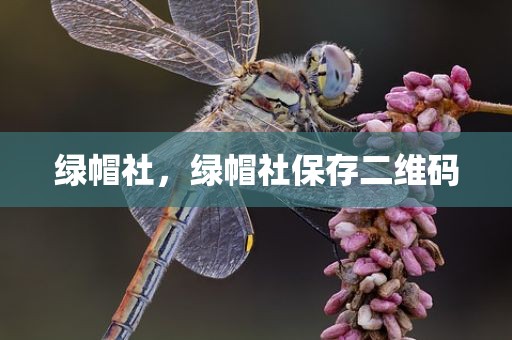 绿帽社，绿帽社保存二维码