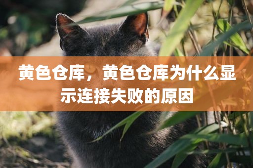 黄色仓库，黄色仓库为什么显示连接失败的原因