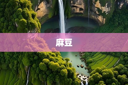 麻豆