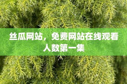 丝瓜网站，免费网站在线观看人数第一集