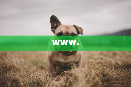 www.