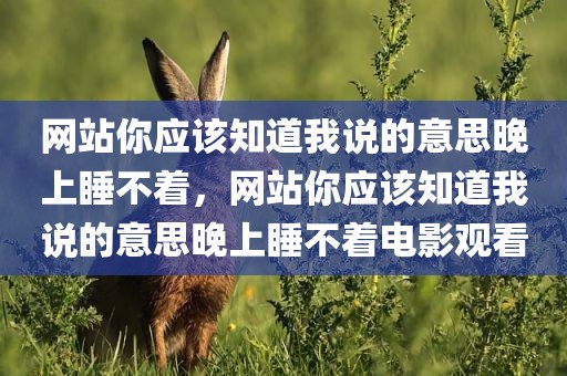 网站你应该知道我说的意思晚上睡不着，网站你应该知道我说的意思晚上睡不着电影观看