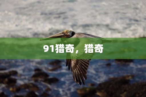 91猎奇，猎奇